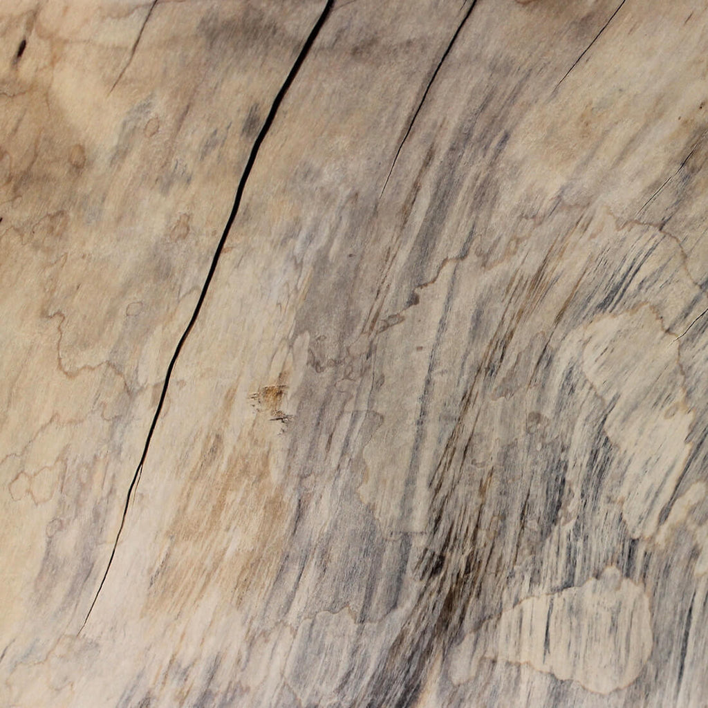 INDY NDY102 - WOODSWAN - Tree Stump Furniture & Coffee Tables