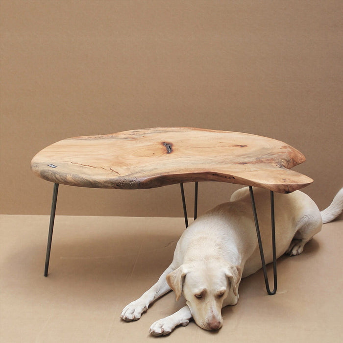 PLATEAU PL102 - WOODSWAN - Tree Stump Furniture & Coffee Tables