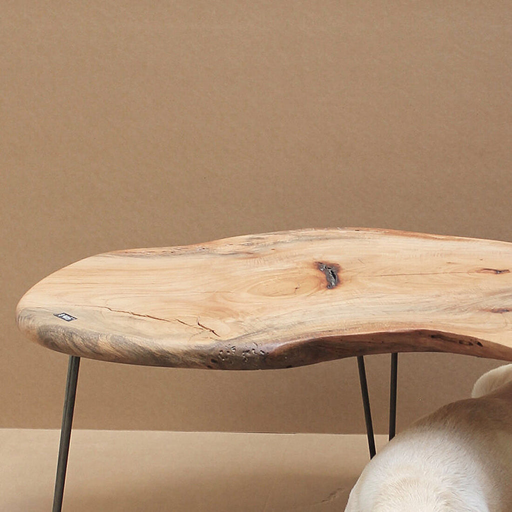 PLATEAU PL102 - WOODSWAN - Tree Stump Furniture & Coffee Tables