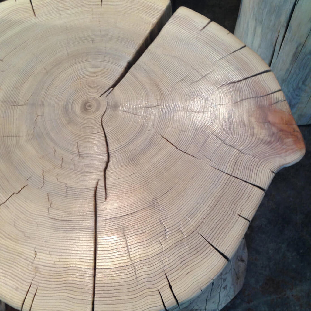 RESCUE R103 - WOODSWAN - Tree Stump Furniture & Coffee Tables