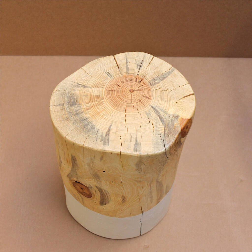 RESCUE R104 - WOODSWAN - Tree Stump Furniture & Coffee Tables