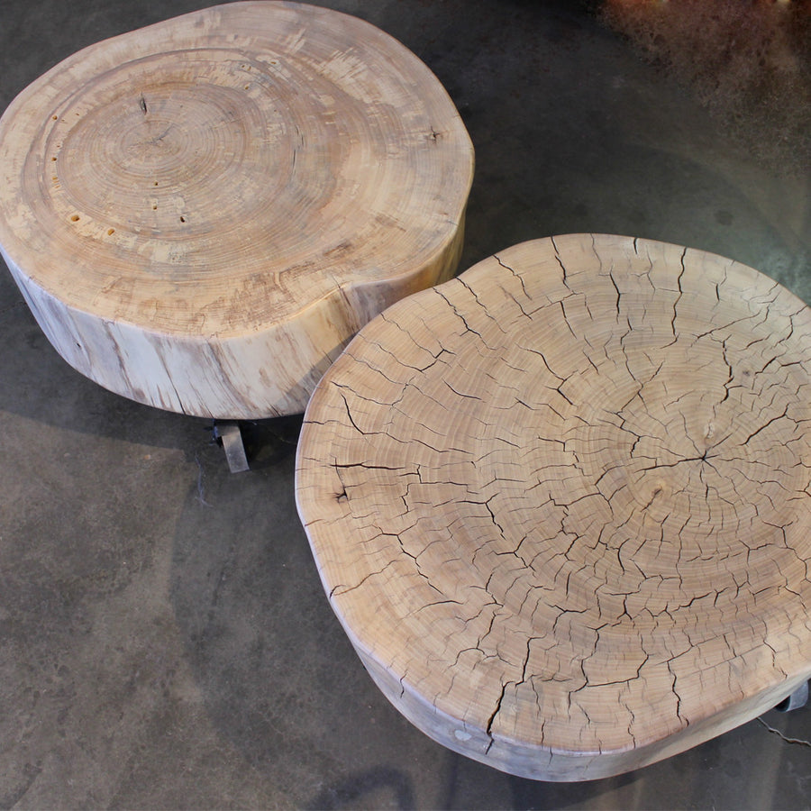 INDY NDY101 - WOODSWAN - Tree Stump Furniture & Coffee Tables