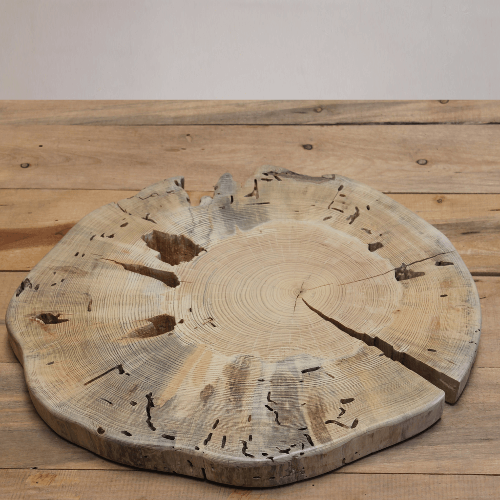 CHEF BOARD & CENTERPIECE OT103 - WOODSWAN - Tree Stump Furniture & Coffee Tables