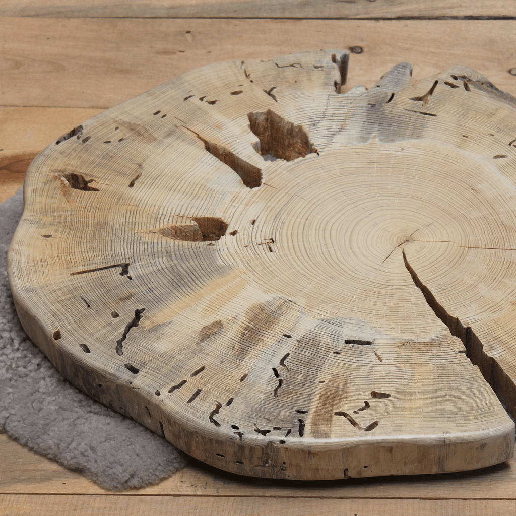 CHEF BOARD & CENTERPIECE OT103 - WOODSWAN - Tree Stump Furniture & Coffee Tables